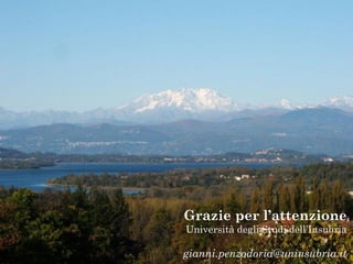 Grazie per l’attenzione 
Università degli Studi dell’Insubria 
gianni.penzodoria@uninsubria.it 