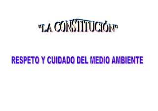 La constitución