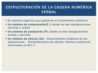 El sistema cognitivo que gobierna el tratamiento numérico
 Un sistema de comprensión(C ): donde se dan designaciones
escritas y orales
 Un sistema de producción (P): donde se dan designaciones
orales y escritas.
 Un sistema de cálculo (Ca) : Conocimiento símbolos de las
operaciones, Procedimientos de cálculo, Hechos numéricos
archivados en M.L.T.
ESTRUCTURACIÓN DE LA CADENA NUMÉRICA
VERBAL
 