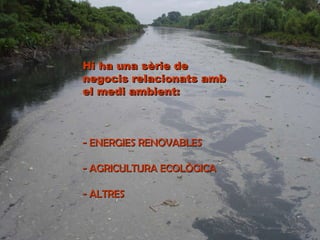 Hi ha una sèrie de negocis relacionats amb el medi ambient: - ENERGIES RENOVABLES - AGRICULTURA ECOLÒGICA - ALTRES 