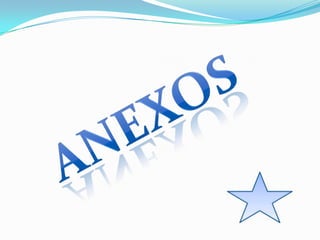 anexos