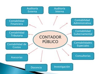 CONTADOR
PÚBLICO
Contabilidad
Financiera
Contabilidad
Tributaria
Contabilidad de
Costos
Contabilidad
Administrativa
Contabilidad
Gubernamental
Contabilidades
Especiales
Asesorías
Consultorías
Docencia Investigación
Auditoría
Externa
Auditoría
Interna
 