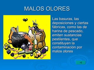 MALOS OLORES Las basuras, las deposiciones y ciertas fábricas, como las de harina de pescado, emiten sustancias pestilentes, que constituyen la contaminación por malos olores  