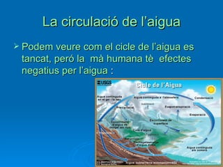La circulació de l’aigua
 Podem veure com el cicle de l’aigua es
 tancat, peró la mà humana tè efectes
 negatius per l’aigua :
 