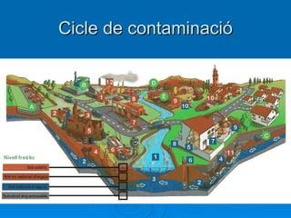 Cicle de contaminació
 