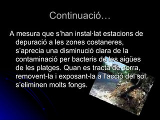 Continuació… A mesura que s’han instal·lat estacions de depuració a les zones costaneres, s’aprecia una disminució clara de la contaminació per bacteris de les aigües de les platges. Quan es tracta de sorra, removent-la i exposant-la a l’acció del sol, s’eliminen molts fongs. 
