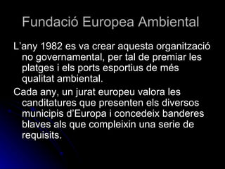 Fundació Europea Ambiental  L’any 1982 es va crear aquesta organització no governamental, per tal de premiar les platges i els ports esportius de més qualitat ambiental. Cada any, un jurat europeu valora les canditatures que presenten els diversos municipis d’Europa i concedeix banderes blaves als que compleixin una serie de requisits. 