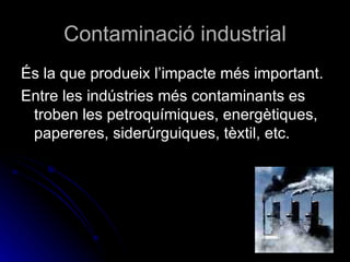 Contaminació industrial És la que produeix l’impacte més important. Entre les indústries més contaminants es troben les petroquímiques, energètiques, papereres, siderúrguiques, tèxtil, etc. 