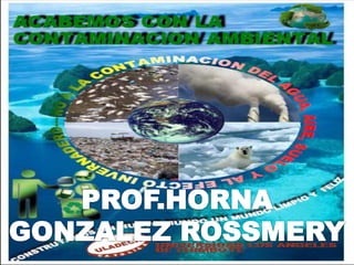PROF.HORNA GONZALEZ ROSSMERY 
