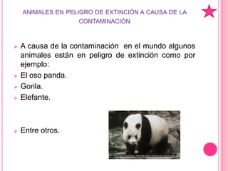 NO tirar la basura en el suelo y depositarla en donde se debe.