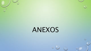ANEXOS
 
