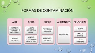 FORMAS DE CONTAMINACIÓN
AIRE
HUMO DE
VEHICULOS O
INDUSTRIAS
MALOS
OLORES.
AGUA
AGUAS
SERVIDAS O
NEGRAS
MINERIA,
PESTICIDAS O
INSDUSTRIAS
SUELO
PESTICIDAS,
ABONOS
PETROLEO,
BASURA
ALIMENTOS
PESTICIDAS.
SENSORIAL
RUIDO
MALOS
OLORES
LUCES
INTENSAS
 