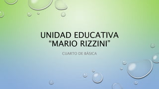 UNIDAD EDUCATIVA
“MARIO RIZZINI”
CUARTO DE BÁSICA
 