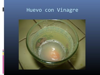 Huevo con Vinagre
 