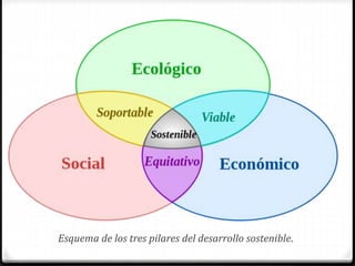 Esquema de los tres pilares del desarrollo sostenible.
 