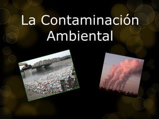 La Contaminación
Ambiental
 