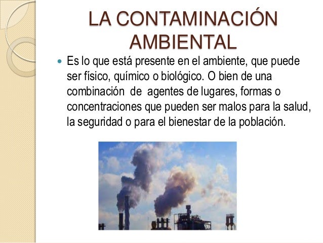 Un Texto Expositivo Sobre La Contaminación Ambiental