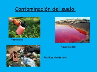 Contaminación del suelo: 
Pesticidas 
Aguas ácidas: 
Residuos domésticos: 
 