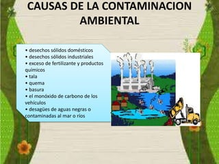 CAUSAS DE LA CONTAMINACION
AMBIENTAL
• desechos sólidos domésticos
• desechos sólidos industriales
• exceso de fertilizante y productos
químicos
• tala
• quema
• basura
• el monóxido de carbono de los
vehículos
• desagües de aguas negras o
contaminadas al mar o ríos
 