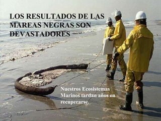 LOS RESULTADOS DE LAS
MAREAS NEGRAS SON
DEVASTADORES
Nuestros Ecosistemas
Marinos tardan años en
recuperarse.
 
