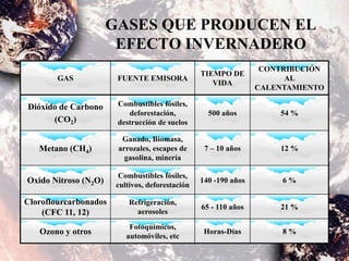 GASES QUE PRODUCEN EL
EFECTO INVERNADERO
GAS FUENTE EMISORA
TIEMPO DE
VIDA
CONTRIBUCIÓN
AL
CALENTAMIENTO
Dióxido de Carbono
(CO2)
Combustibles fósiles,
deforestación,
destrucción de suelos
500 años 54 %
Metano (CH4)
Ganado, Biomasa,
arrozales, escapes de
gasolina, minería
7 – 10 años 12 %
Oxido Nitroso (N2O)
Combustibles fósiles,
cultivos, deforestación
140 -190 años 6 %
Cloroflourcarbonados
(CFC 11, 12)
Refrigeración,
aerosoles
65 - 110 años 21 %
Ozono y otros
Fotoquímicos,
automóviles, etc
Horas-Días 8 %
 
