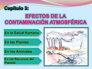 En la Salud Humana 
En las Plantas 
En los Animales 
En los Recursos del 
Planeta 
 