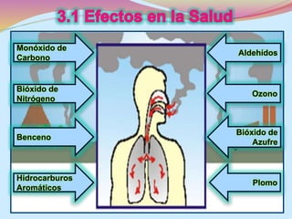 Monóxido de 
Carbono 
Bióxido de 
Nitrógeno 
Benceno 
Hidrocarburos 
Aromáticos 
Aldehídos 
Ozono 
Bióxido de 
Azufre 
Plomo 
 