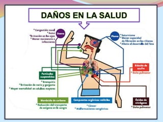 DAÑOS EN LA SALUD 
 