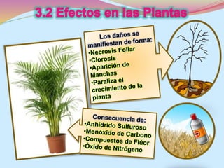 La contaminación atmosférica
