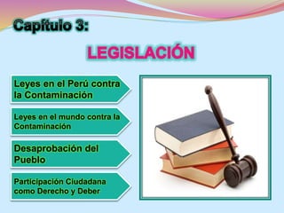 Leyes en el Perú contra 
la Contaminación 
Leyes en el mundo contra la 
Contaminación 
Desaprobación del 
Pueblo 
Participación Ciudadana 
como Derecho y Deber 
 