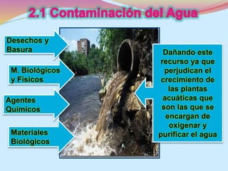 Desechos y 
Basura 
M. Biológicos 
y Fisicos 
Agentes 
Químicos 
Materiales 
Biológicos 
Dañando este 
recurso ya que 
perjudican el 
crecimiento de 
las plantas 
acuáticas que 
son las que se 
encargan de 
oxigenar y 
purificar el agua 
 