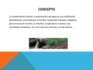 CONCEPTO 
La contaminación hídrica o contaminación del agua es una modificación 
generalmente, provocada por el hombre, haciéndola impropia o peligrosa 
para el consumo humano, la industria, la agricultura, la pesca y las 
actividades recreativas, así como para los animales y la vida natural. .. 
 