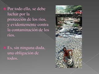 La ContaminaciòN De Los RíOs | PPTX