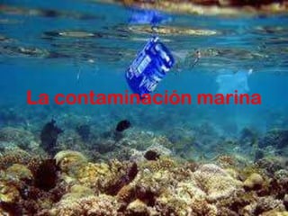 La contaminación marina
 