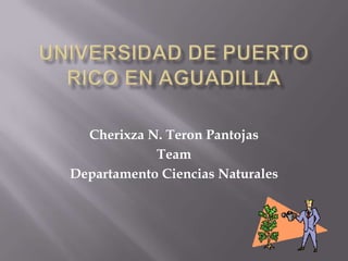 Universidad de Puerto Rico en Aguadilla Cherixza N. TeronPantojas Team DepartamentoCienciasNaturales 