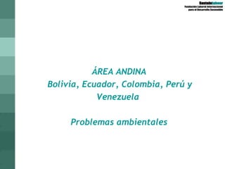     ÁREA ANDINA Bolivia, Ecuador, Colombia, Perú y Venezuela  Problemas ambientales 