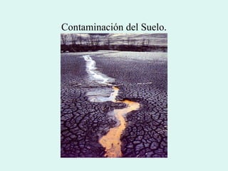 Contaminación del Suelo. 