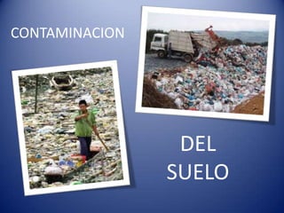 CONTAMINACION




                 DEL
                SUELO
 