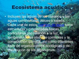 Ecosistema acuático
• Incluyen las aguas de los océanos y las
  aguas continentales dulces o salada.
  Cada uno de estos cuerpos de agua tiene
  estructuras y propiedades físicas
  particulares con relación a la luz, la
  temperatura, las olas, las corrientes y la
  composición química, así como diferentes
  tipos de organizaciones ecológicas y de
  distribución de los organismos.
 