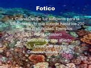 Fotico
 • Cuando recibe luz suficiente para la
fotosíntesis , lo que sucede hasta los 200
       m de profundidad. Ejemplos
           1. Playa o costero
      2. Plataforma de mar abierto
           3. Arrecife de coral
        4. Desembocadura de rio
 