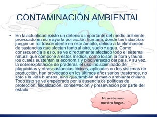 Contaminación del Medio Ambiente
  CONTAMINACIÓN AMBIENTAL
• En la actualidad existe un deterioro importante del medio ambiente,
  provocado en su mayoría por acción humana, donde las industrias
  juegan un rol trascendente en este ámbito, debido a la eliminación
  de sustancias que afectan tanto al aire, suelo y agua. Como
  consecuencia a esto, se ve directamente afectado todo el sistema
  natural que compone a estos medios, como lo son la flora y fauna,
  los cuales sustentan la economía y biodiversidad del país. A su vez,
  la sobreexplotación de praderas, el uso indiscriminado de
  plaguicidas y otras sustancias tóxicas, aplicadas en los sistemas de
  producción, han provocado en los últimos años serios trastornos, no
  sólo a la vida humana, sino que también al medio ambiente chileno.
  Todo esto se ve empeorado por la ausencia de políticas de
  protección, fiscalización, conservación y preservación por parte del
  estado
                                               No acabemos
                                              nuestro hogar..
 