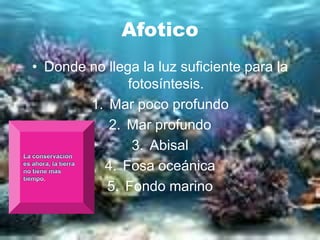 Afotico
• Donde no llega la luz suficiente para la
               fotosíntesis.
        1. Mar poco profundo
           2. Mar profundo
                3. Abisal
          4. Fosa oceánica
  .
           5. Fondo marino
 
