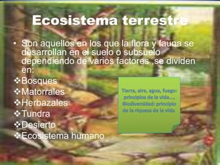 Ecosistema terrestre
• Son aquellos en los que la flora y fauna se
  desarrollan en el suelo o subsuelo
  dependiendo de varios factores ,se dividen
  en:
Bosques
Matorrales
Herbazales
                                         .
Tundra
Desierto
Ecosistema humano
 