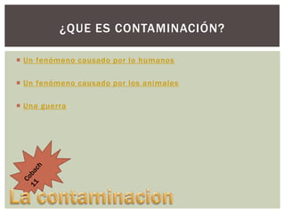 ¿QUE ES CONTAMINACIÓN?
 Un fenómeno causado por lo humanos
 Un fenómeno causado por los animales
 Una guerra

 