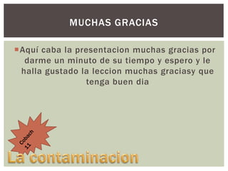 MUCHAS GRACIAS
Aquí caba la presentacion muchas gracias por
darme un minuto de su tiempo y espero y le
halla gustado la leccion muchas graciasy que
tenga buen dia

 