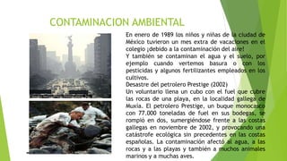CONTAMINACION AMBIENTAL
En enero de 1989 los niños y niñas de la ciudad de
México tuvieron un mes extra de vacaciones en el
colegio ¡debido a la contaminación del aire!
Y también se contaminan el agua y el suelo, por
ejemplo cuando vertemos basura o con los
pesticidas y algunos fertilizantes empleados en los
cultivos.
Desastre del petrolero Prestige (2002)
Un voluntario llena un cubo con el fuel que cubre
las rocas de una playa, en la localidad gallega de
Muxía. El petrolero Prestige, un buque monocasco
con 77.000 toneladas de fuel en sus bodegas, se
rompió en dos, sumergiéndose frente a las costas
gallegas en noviembre de 2002, y provocando una
catástrofe ecológica sin precedentes en las costas
españolas. La contaminación afectó al agua, a las
rocas y a las playas y también a muchos animales
marinos y a muchas aves.
 