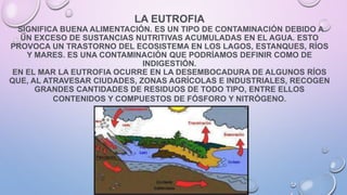 LA EUTROFIA
SIGNIFICA BUENA ALIMENTACIÓN. ES UN TIPO DE CONTAMINACIÓN DEBIDO A
UN EXCESO DE SUSTANCIAS NUTRITIVAS ACUMULADAS EN EL AGUA. ESTO
PROVOCA UN TRASTORNO DEL ECOSISTEMA EN LOS LAGOS, ESTANQUES, RÍOS
Y MARES. ES UNA CONTAMINACIÓN QUE PODRÍAMOS DEFINIR COMO DE
INDIGESTIÓN.
EN EL MAR LA EUTROFIA OCURRE EN LA DESEMBOCADURA DE ALGUNOS RÍOS
QUE, AL ATRAVESAR CIUDADES, ZONAS AGRÍCOLAS E INDUSTRIALES, RECOGEN
GRANDES CANTIDADES DE RESIDUOS DE TODO TIPO, ENTRE ELLOS
CONTENIDOS Y COMPUESTOS DE FÓSFORO Y NITRÓGENO.
 