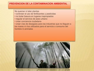 PREVENCION DE LA CONTAMINACION AMBIENTAL
No quemar ni talar plantas
• controlar el uso de fertilizantes y pesticidas
• no botar basura en lugares inapropiados
• regular el servicio de aseo urbano
• crear conciencia ciudadana
• crear vías de desagües para las industrias que no lleguen a
los mares ni ríos utilizados para el servicio o consumo del
hombre ni animales
 