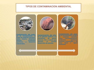 TIPOS DE CONTAMINACION AMBIENTAL
Contaminación del suelo:
es la incorporación al
suelo de materias extrañas,
como basura, desechos
tóxicos, productos
químicos, y desechos
industriales.
Contaminación del aire:
es la adición dañina a la
atmósfera de gases
tóxicos, CO, u otros que
afectan el normal
desarrollo de plantas
Contaminación del agua:
es la incorporación al agua
de materias extrañas,
como microorganismos,
productos químicos,
residuos industriales, y de
otros tipos o aguas
residuales
 