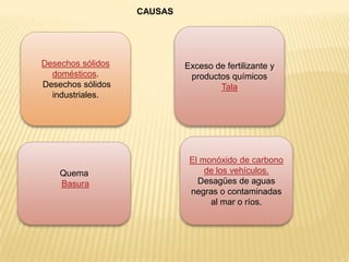 Desechos sólidos
domésticos.
Desechos sólidos
industriales.
El monóxido de carbono
de los vehículos.
Desagües de aguas
negras o contaminadas
al mar o ríos.
Quema
Basura
Exceso de fertilizante y
productos químicos
Tala
CAUSAS
 